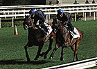 Hong Kong Runners May Have Trouble This Year Hong Kong Runners May Have Trouble This Year