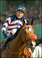 English Champion Milk It Mick to Lone Oak Stud English Champion Milk It Mick to Lone Oak Stud