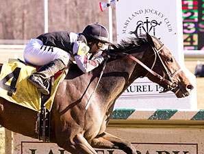 Grade II Winner Millionreasonswhy Dies Grade II Winner Millionreasonswhy Dies