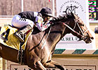 Grade II Winner Millionreasonswhy Dies Grade II Winner Millionreasonswhy Dies