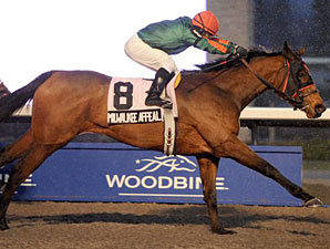 Wests Buy Champion Milwaukee Appeal Wests Buy Champion Milwaukee Appeal