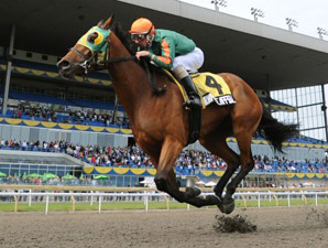 Milwaukee Appeal Triumphant in Woodbine Oaks Milwaukee Appeal Triumphant in Woodbine Oaks