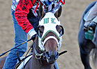 Mine That Bird Works Three Furlongs From Gate Mine That Bird Works Three Furlongs From Gate
