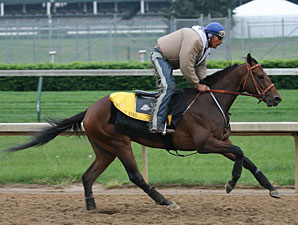 Derby Winner Primes for Preakness Derby Winner Primes for Preakness