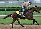 Derby Winner Primes for Preakness