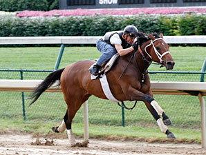 Mine That Bird Works; May Race This Weekend Mine That Bird Works; May Race This Weekend