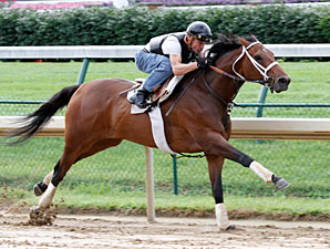 Mine That Bird Zips in Churchill Workout Mine That Bird Zips in Churchill Workout