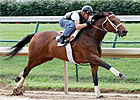 Mine That Bird Zips in Churchill Workout Mine That Bird Zips in Churchill Workout