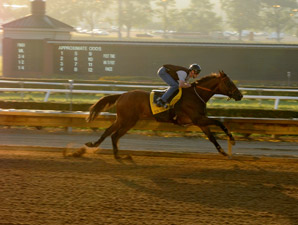 Mine That Bird in West Virginia Derby Work Mine That Bird in West Virginia Derby Work