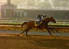 Mine That Bird in West Virginia Derby Work