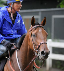 Mine That Bird 1-1 In Early Belmont Wagering Mine That Bird 1-1 In Early Belmont Wagering