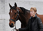 Mine That Bird to Return to KY Derby Museum Mine That Bird to Return to KY Derby Museum