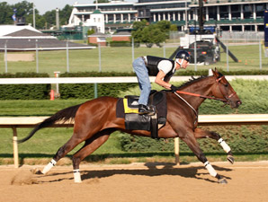 Mine That Bird in 'Easy' Half-Mile Breeze Mine That Bird in 'Easy' Half-Mile Breeze