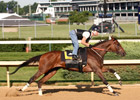 Mine That Bird in 'Easy' Half-Mile Breeze