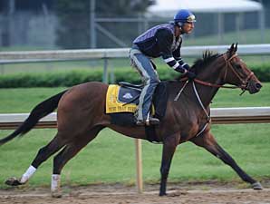 Mine That Bird Jogs, Rachel Alexandra Walks Mine That Bird Jogs, Rachel Alexandra Walks