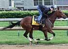Kentucky Derby Winner Mine That Bird Breezes