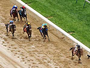 Haskin's Derby Wrapup: Bird to Take Wing Haskin's Derby Wrapup: Bird to Take Wing