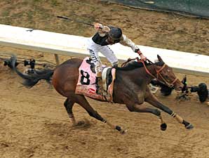 Mine That Bird Headed to the Preakness Mine That Bird Headed to the Preakness