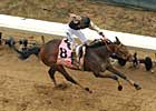 Mine That Bird Headed to the Preakness Mine That Bird Headed to the Preakness