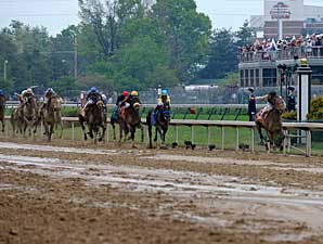 Haskin's Derby Recap: Rare Bird Sighting Haskin's Derby Recap: Rare Bird Sighting