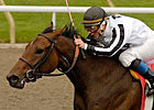 Grey Win 4th Straight for Mine That Bird Grey Win 4th Straight for Mine That Bird