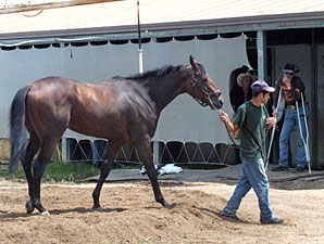 Mine That Bird Works at Ruidoso Downs Mine That Bird Works at Ruidoso Downs