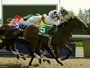Juveniles Star in Grey, Mazarine Stakes Juveniles Star in Grey, Mazarine Stakes