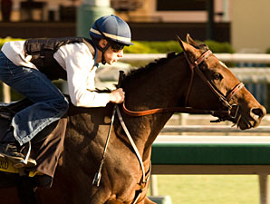 Goodwood: Quality Foes Await Mine That Bird Goodwood: Quality Foes Await Mine That Bird