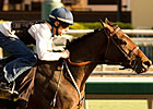 Mine That Bird to Get Blinkers for Woodward Mine That Bird to Get Blinkers for Woodward