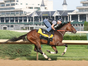 Borel: 'We're Going to Win' Belmont Stakes Borel: 'We're Going to Win' Belmont Stakes