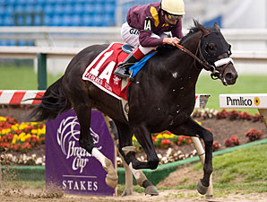 Belmont Contenders Post Final Works Belmont Contenders Post Final Works