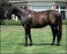 Second-Crop Sires: Parallel Lives of Mineshaft, Empire Maker Second-Crop Sires: Parallel Lives of Mineshaft, Empire Maker
