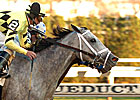 Top Flight Fillies Meet in Sabin Top Flight Fillies Meet in Sabin