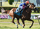 Minorette Springs Mild Belmont Oaks Upset Minorette Springs Mild Belmont Oaks Upset