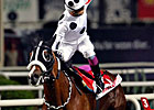 Miramis Wins Turkey's Gazi Derby
