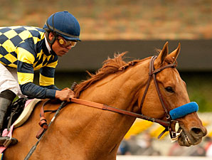 Grade I Winner Misremembered Retired Grade I Winner Misremembered Retired