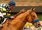 Grade I Winner Misremembered Retired Grade I Winner Misremembered Retired