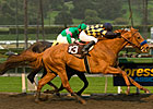 Misremembered Gets It Right in Big 'Cap Misremembered Gets It Right in Big 'Cap
