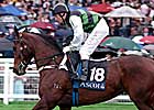 Australia and  New Zealand Annual Classifications Announced