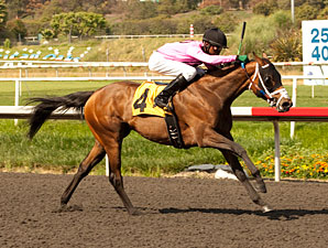 Miss Empire Seeks Second Stakes Win Miss Empire Seeks Second Stakes Win