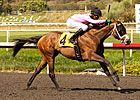 Miss Empire Seeks Second Stakes Win Miss Empire Seeks Second Stakes Win