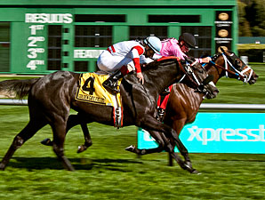 Miss Empire Battles for Pike Place Dancer Win Miss Empire Battles for Pike Place Dancer Win