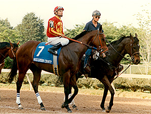 Oaklawn Park is Baffert's 'Lucky Place' Oaklawn Park is Baffert's 'Lucky Place'