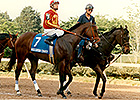 Oaklawn Park is Baffert's 'Lucky Place' Oaklawn Park is Baffert's 'Lucky Place'