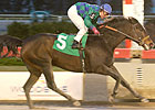 Canadian-Based Trainer Passero Dies at Age 77 Canadian-Based Trainer Passero Dies at Age 77