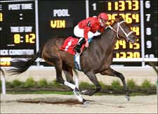 Breeders' Cup Focus: Miss Macy Sue Breeders' Cup Focus: Miss Macy Sue