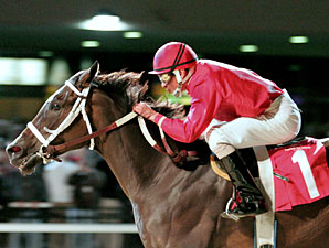 Solid Field Set For Presque Isle Masters Solid Field Set For Presque Isle Masters