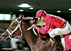 Solid Field Set For Presque Isle Masters Solid Field Set For Presque Isle Masters