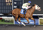 Miss Mischief Seeking to Make the Grade Miss Mischief Seeking to Make the Grade