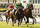 Miss Serendipity Upset Winner in Gamely Miss Serendipity Upset Winner in Gamely
